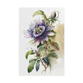 Passion Flower No.23