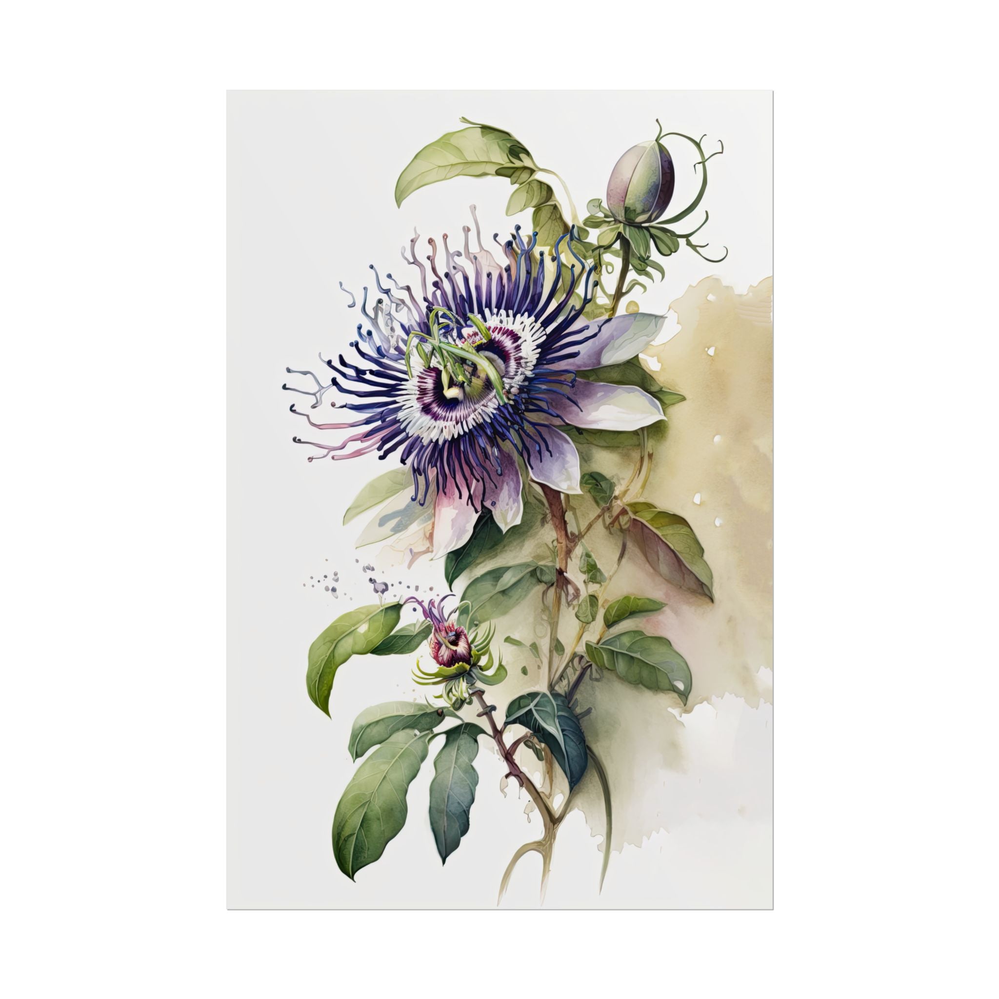 Passion Flower No.23