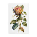 Rose Flower No.87