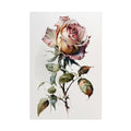 Rose Flower No.77