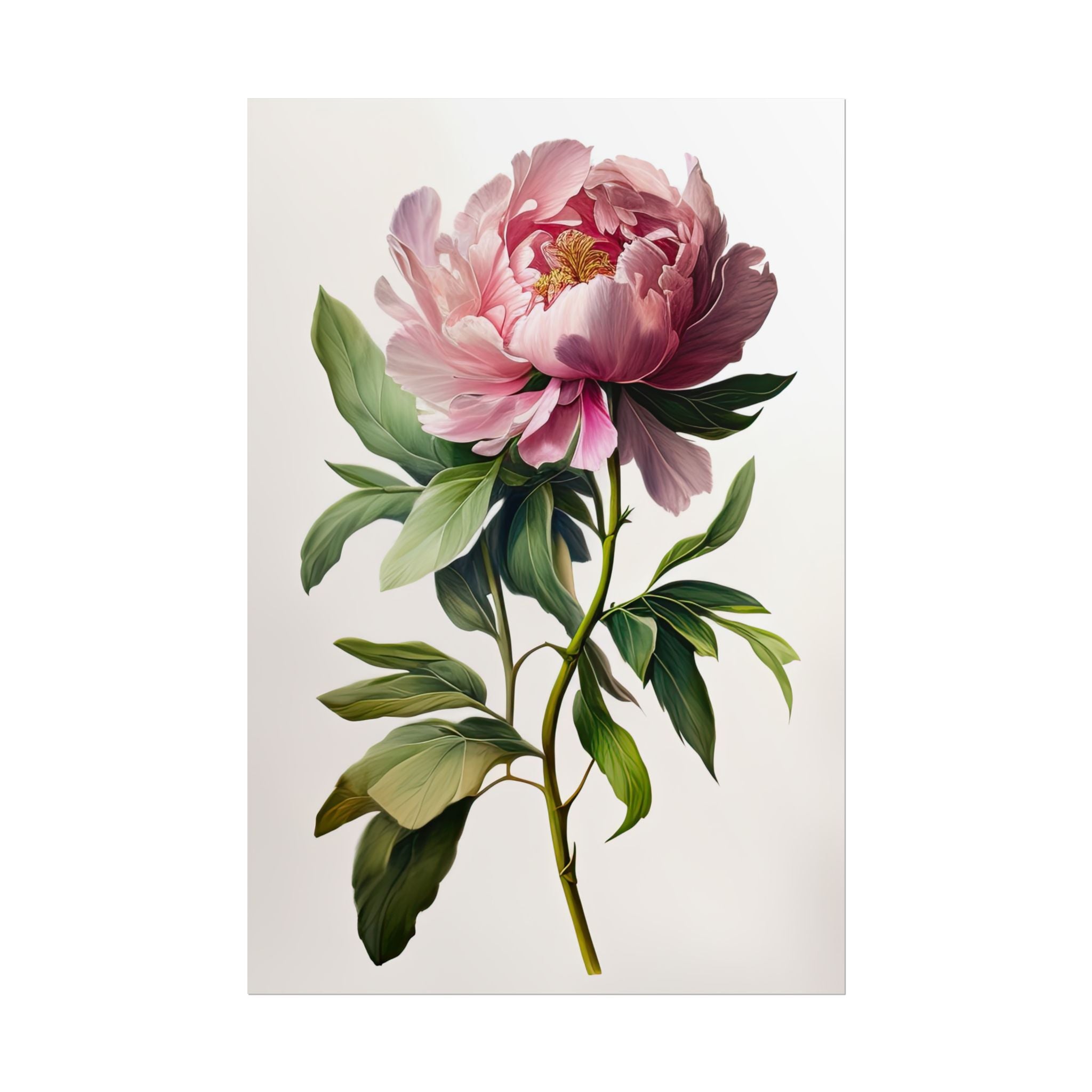 Peony Flower No.56