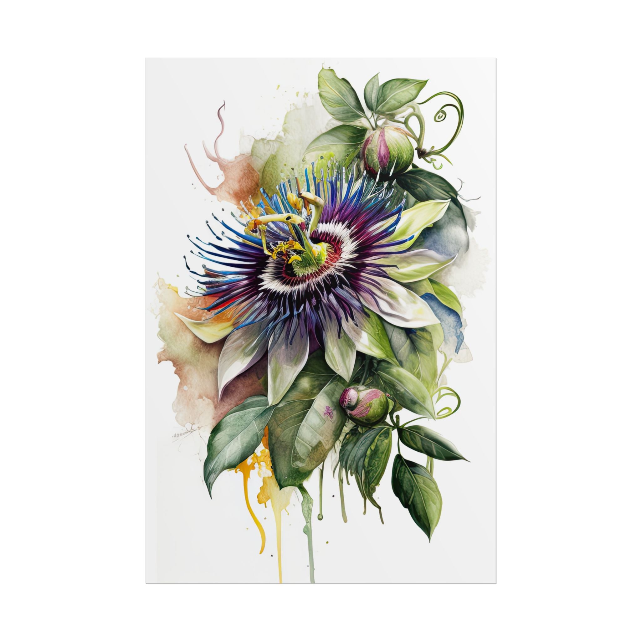 Passion Flower No.48