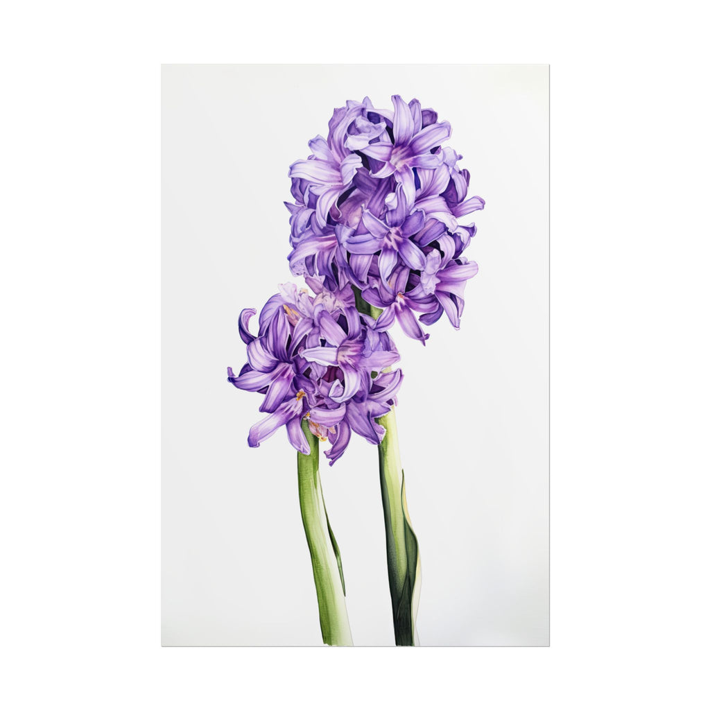Hyacinth Flower No.97