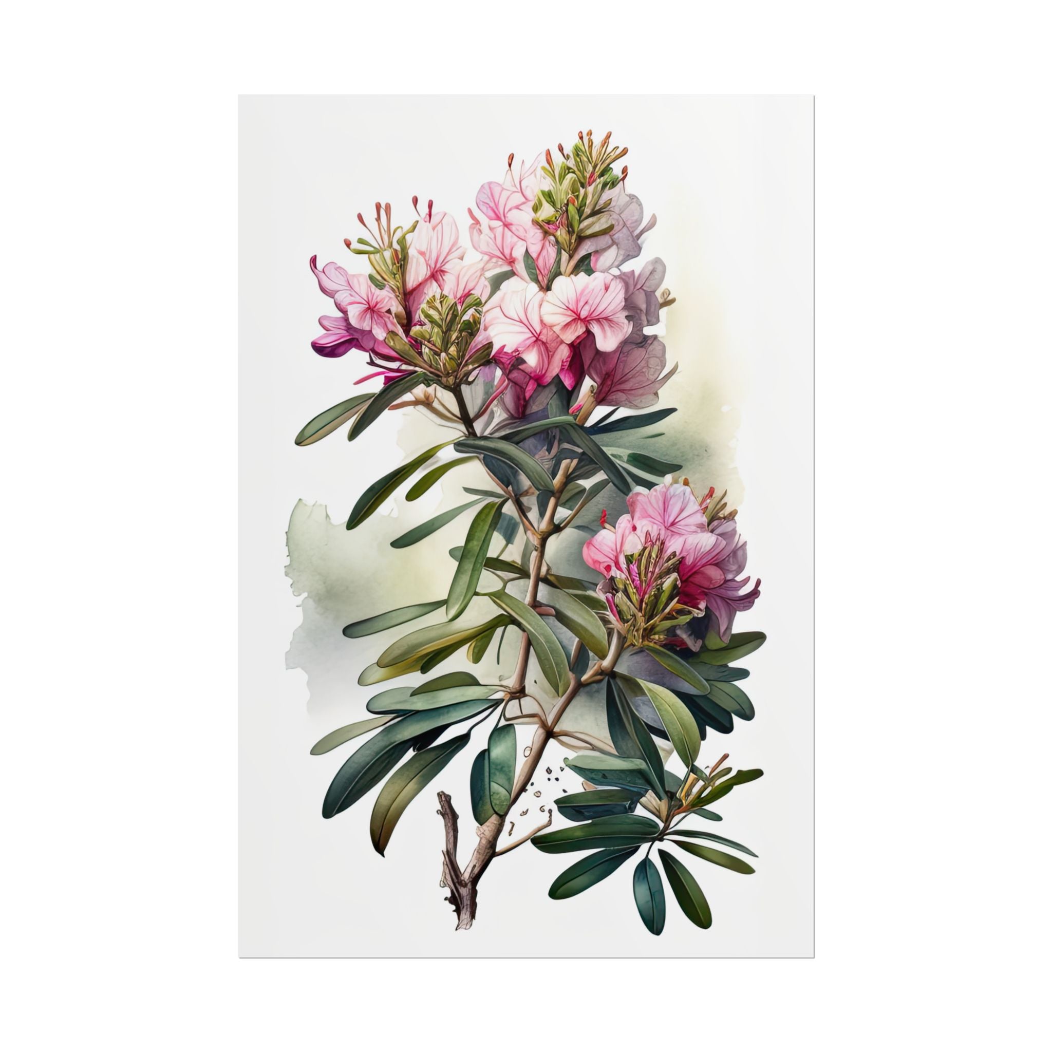 Rhododendron Flower No.63