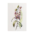 Orchid Flower No.9