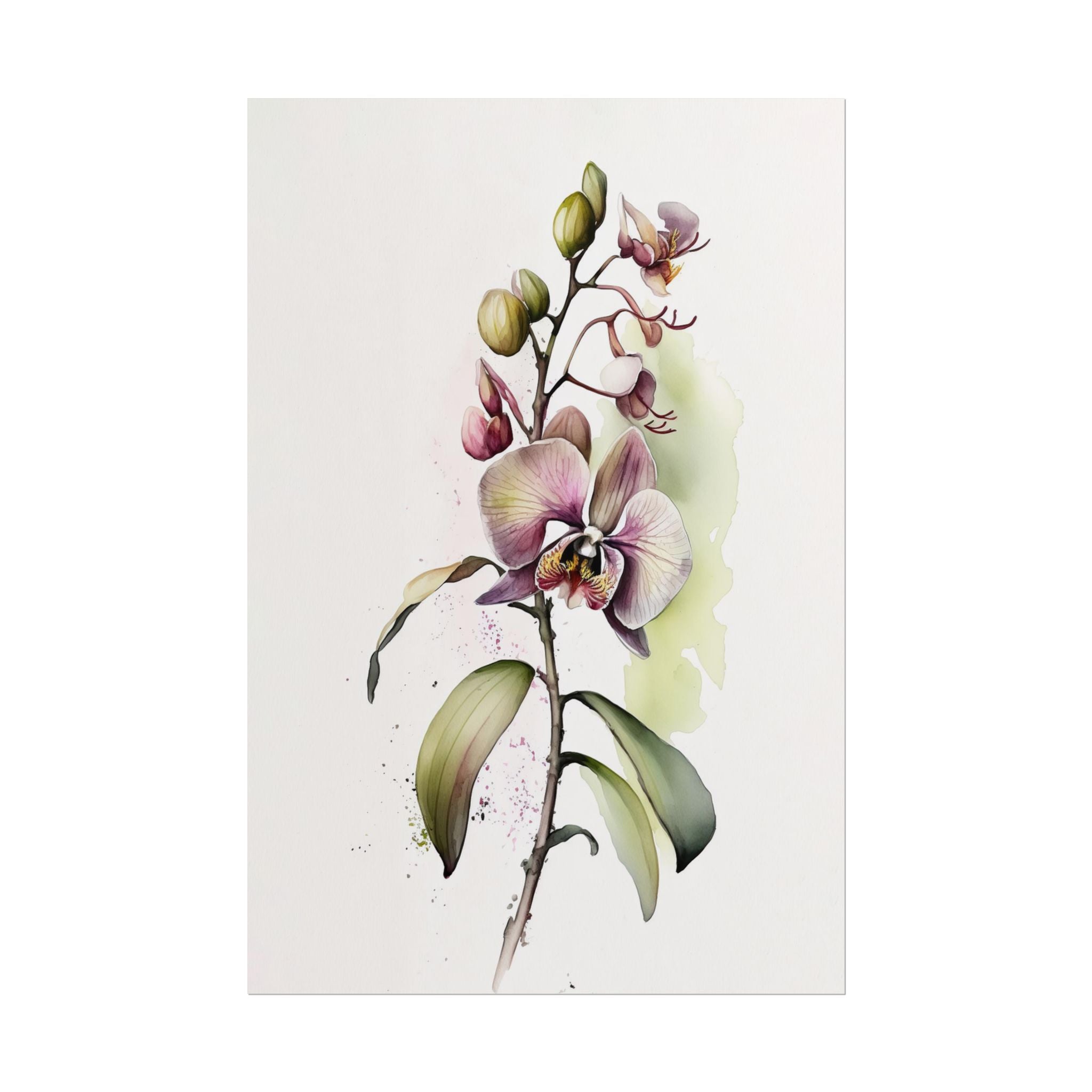 Orchid Flower No.9