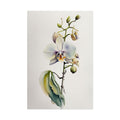 Orchid Flower Print No.46