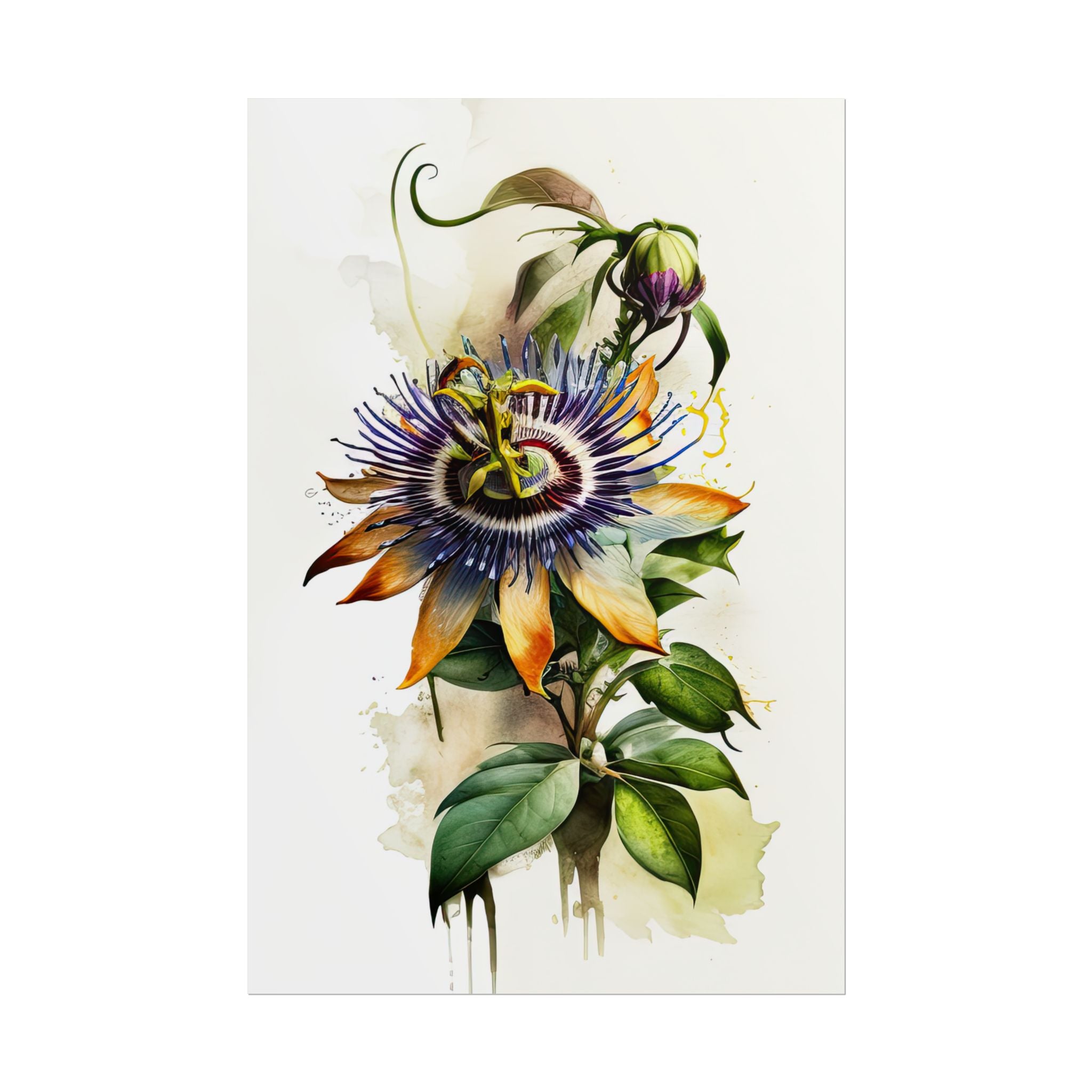 Passion Flower No.49