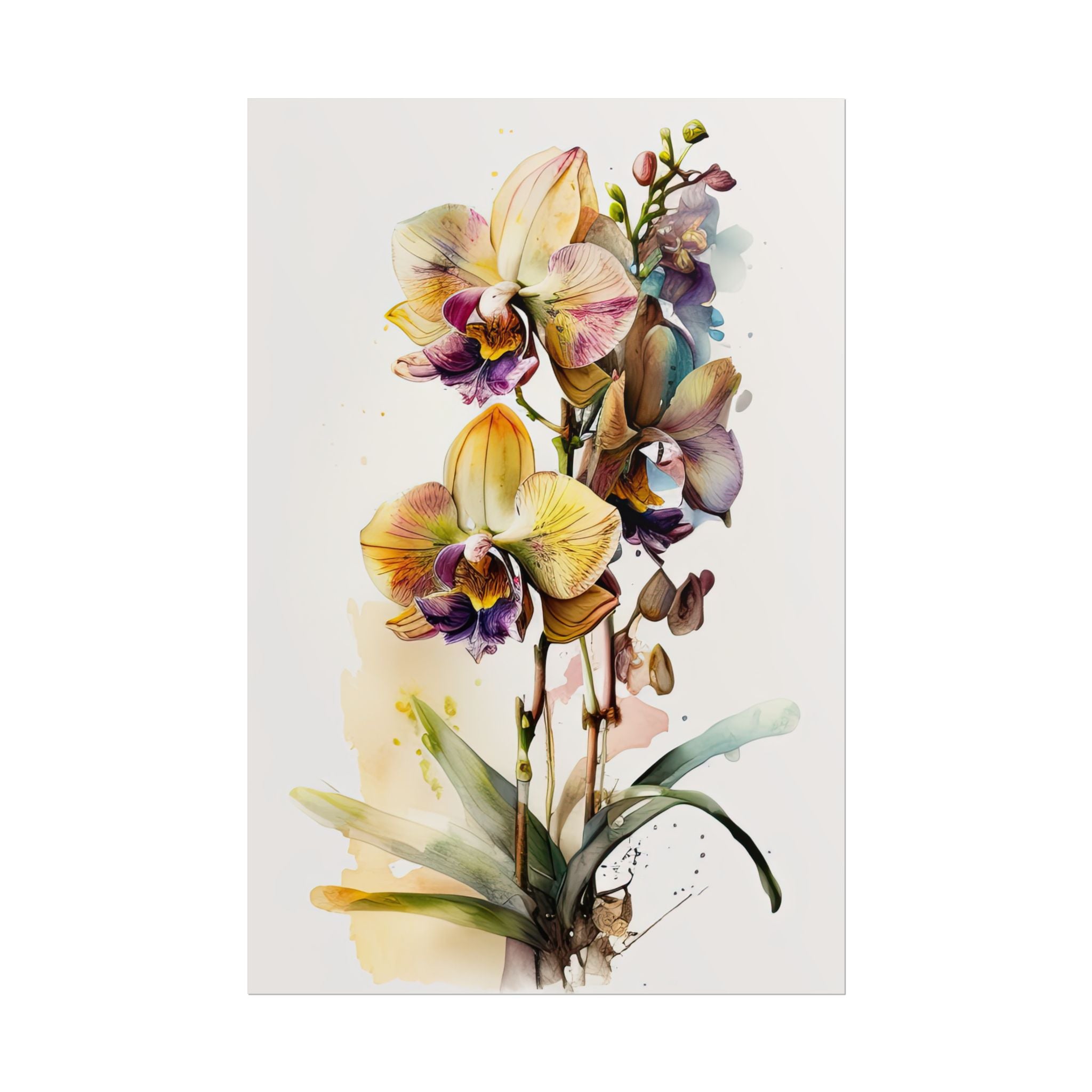Orchid Flower No.45