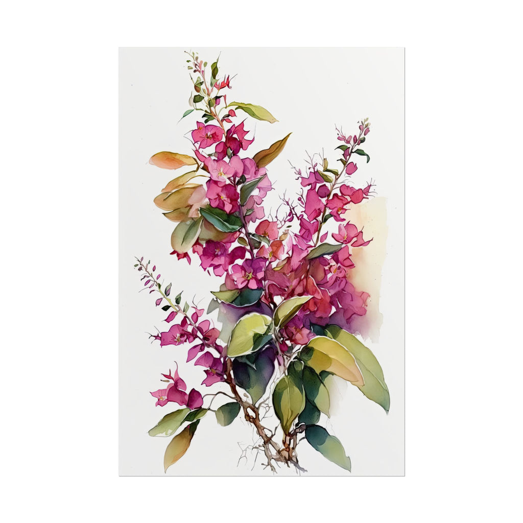 Bougainvillea Flower No.14