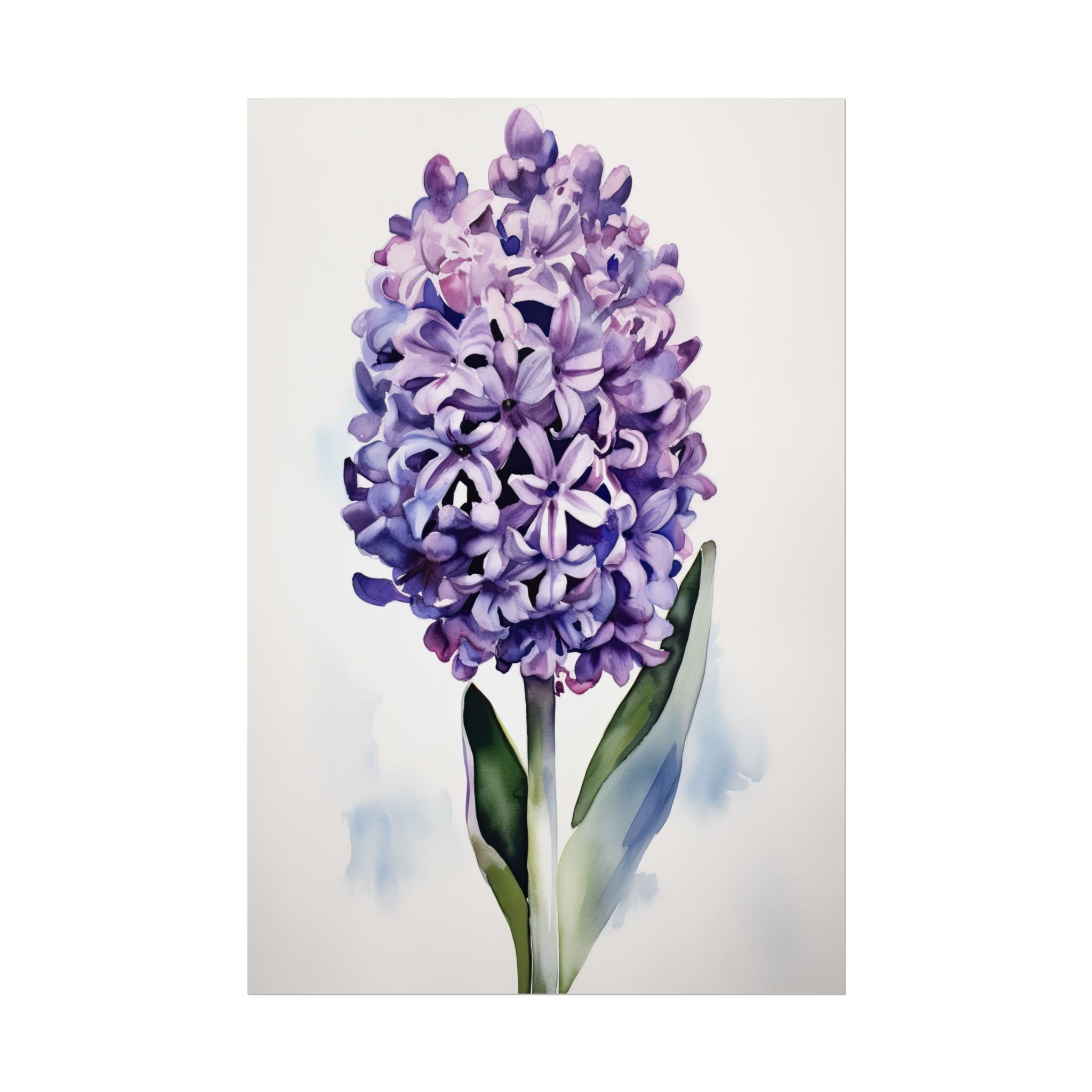 Hyacinth Flower No.100
