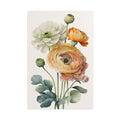 Ranunculus Flower No.59