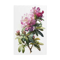 Rhododendron Flower No.65