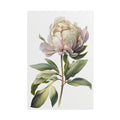 Peony Flower No.57