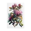 Rhododendron Flower No.71