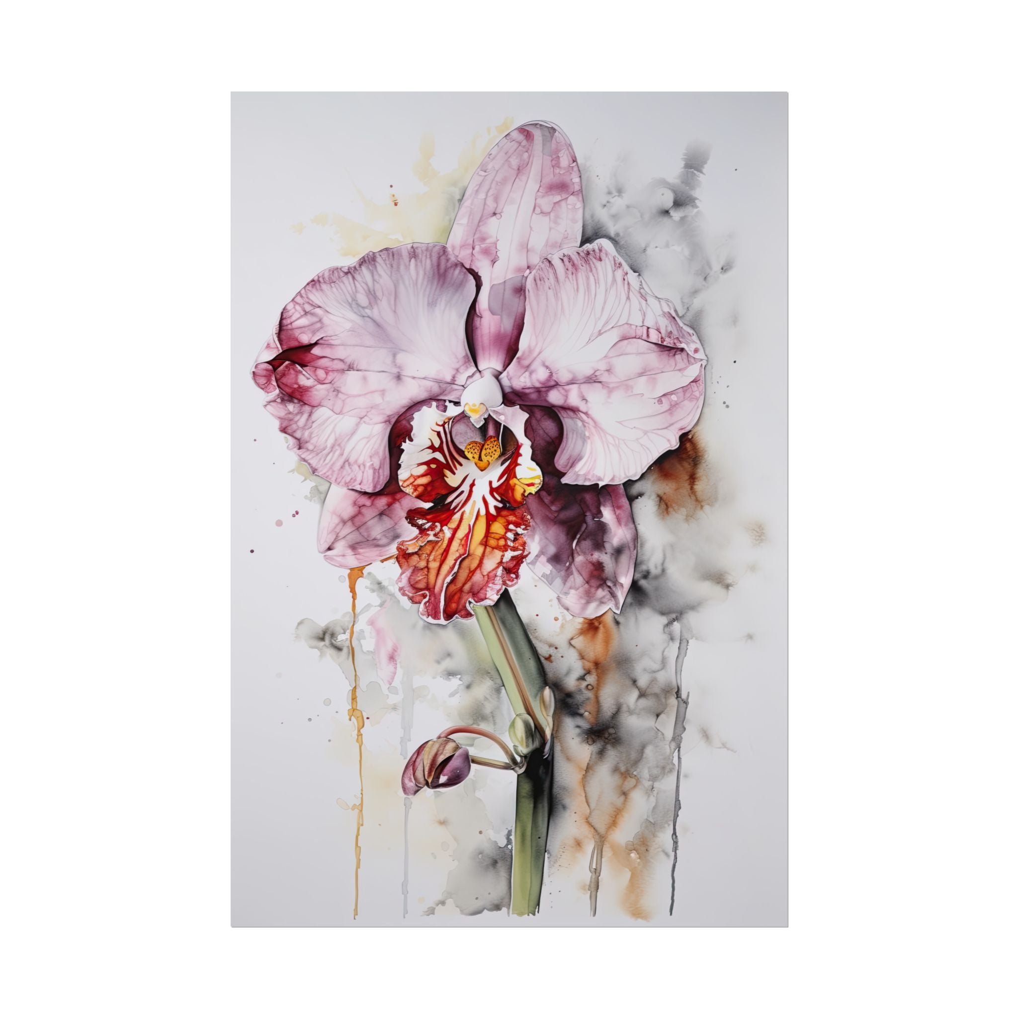 Orchid Flower No.104
