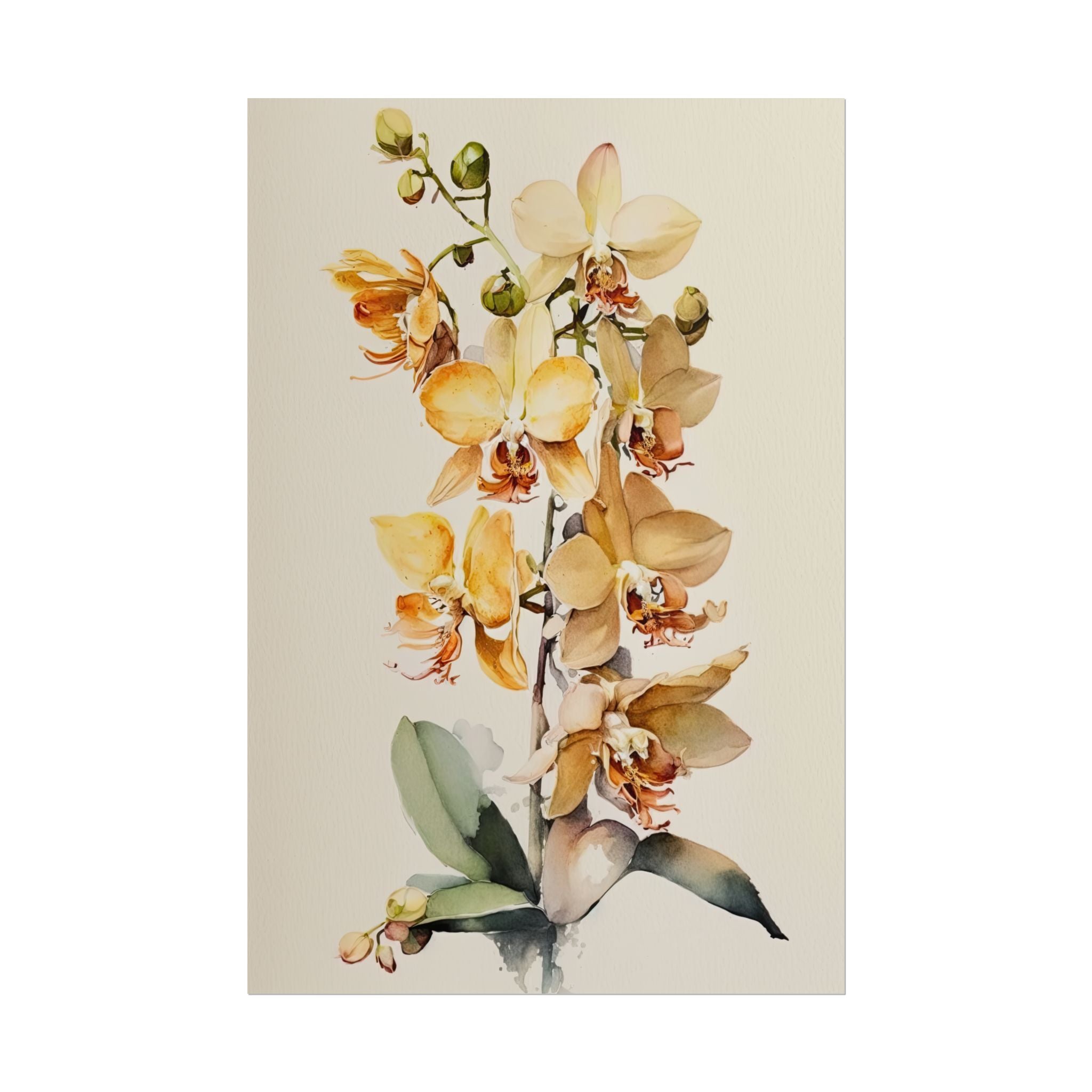 Orchid Flower No.20