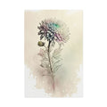 Chrysanthemum Flower No.16