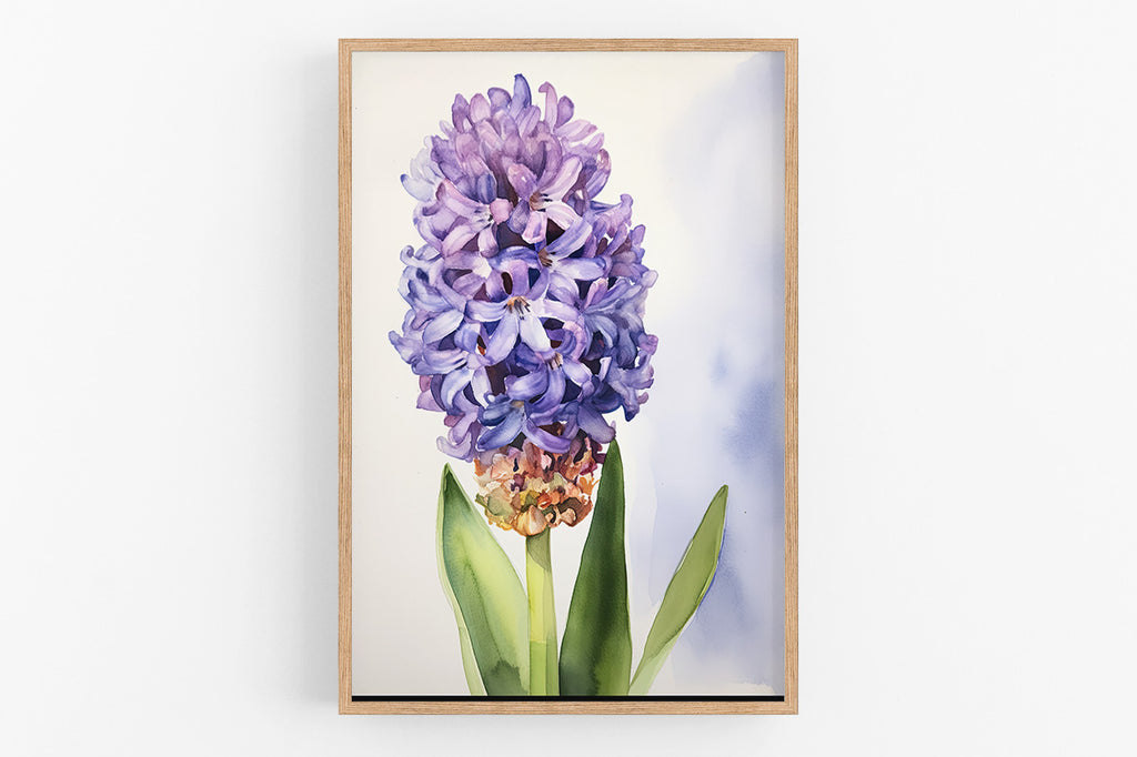 A framed watercolor painting of a large, vibrant purple hyacinth flower.