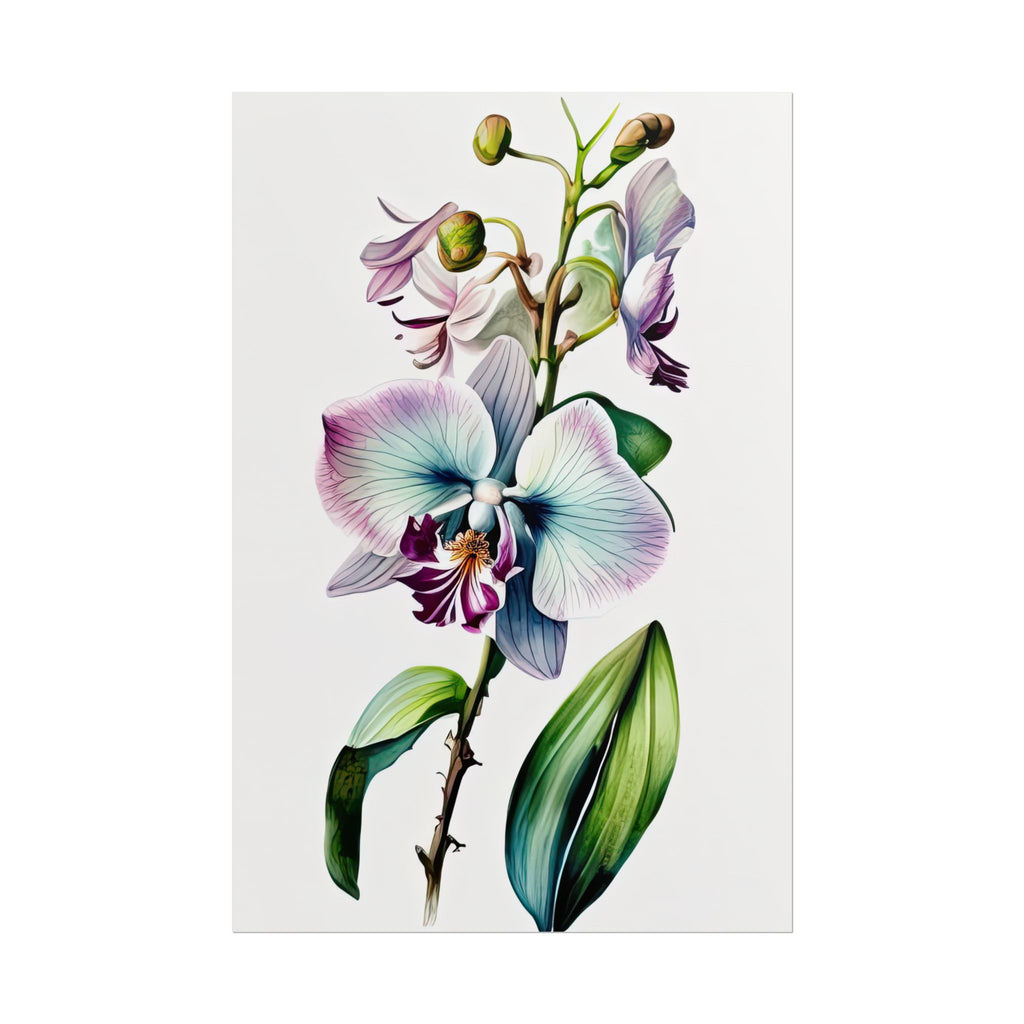 Orchid Flower No.40