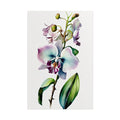 Orchid Flower No.40