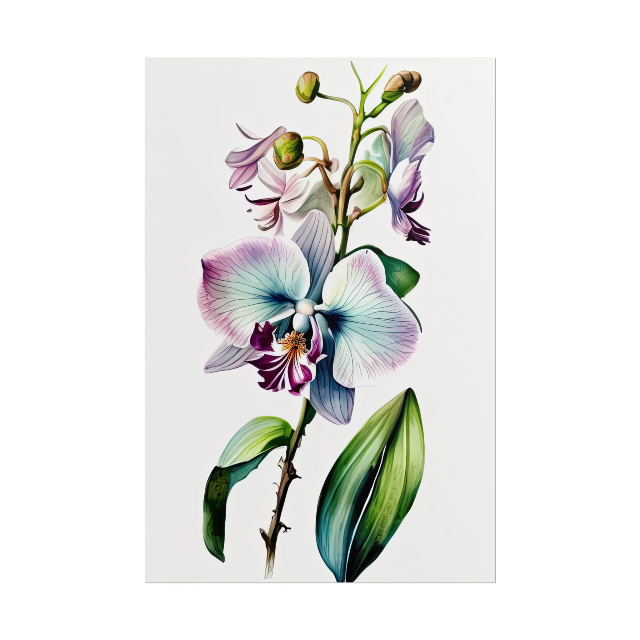 Orchid Flower No.40