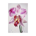 Orchid Flower No.102