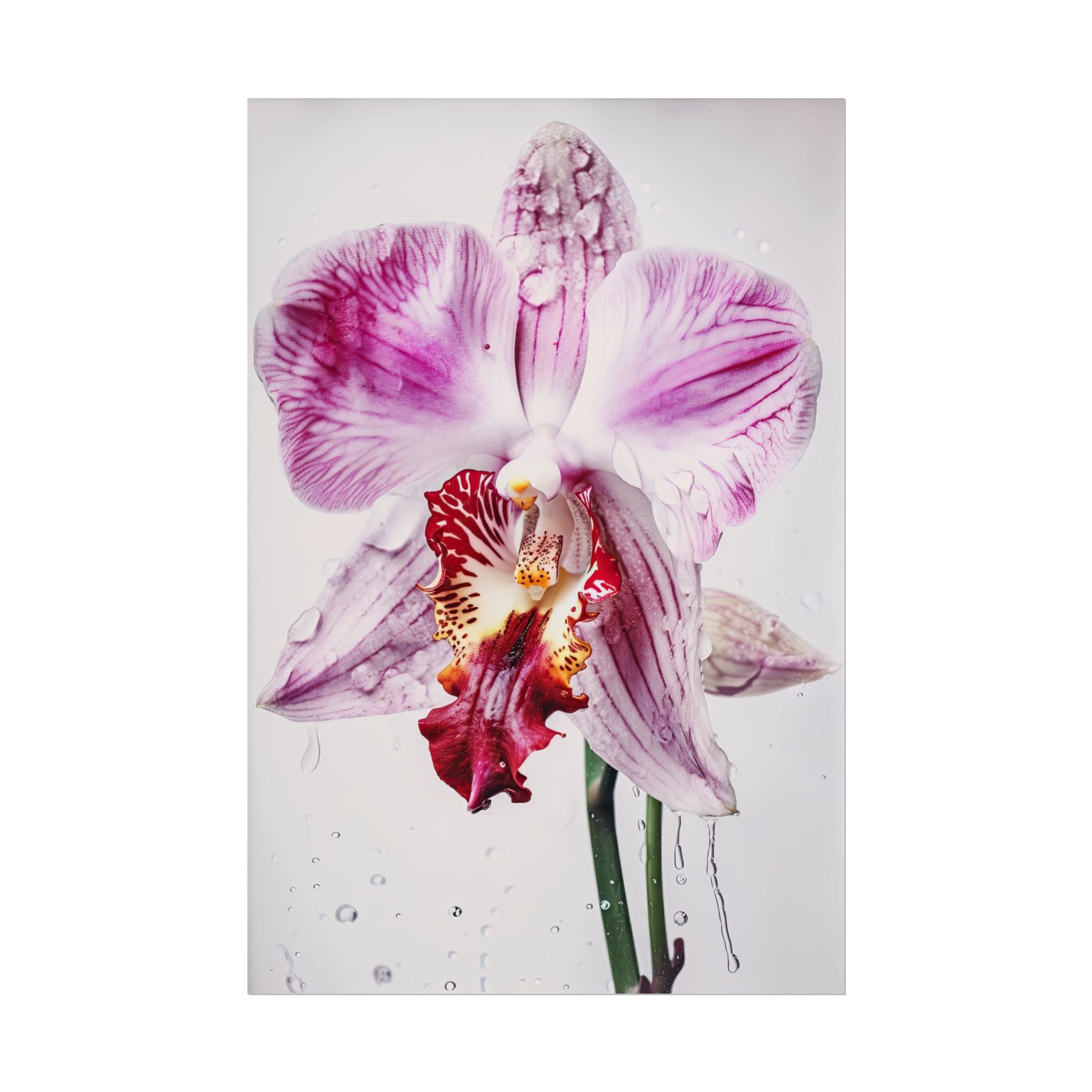 Orchid Flower No.102