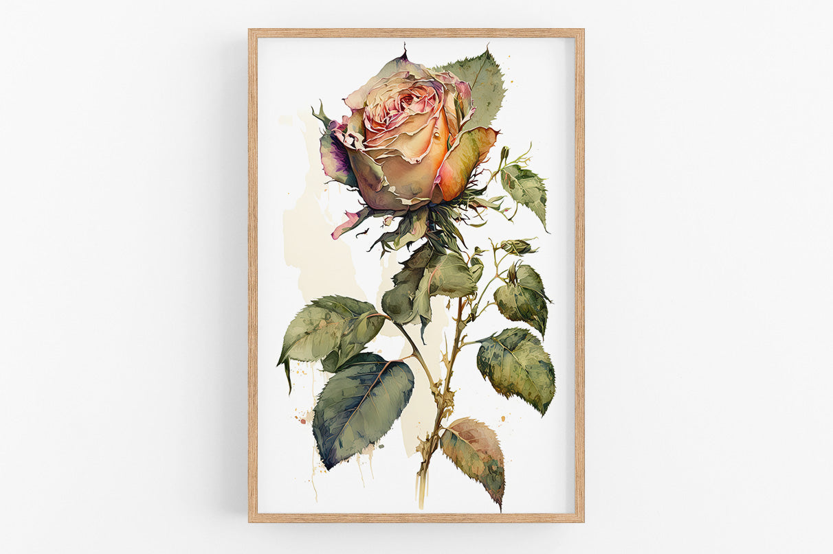 A framed watercolor painting depicting a vibrant, multi-colored rose with lush green leaves.