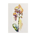 Orchid Flower No.8