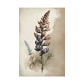 Lupine Flower No.27