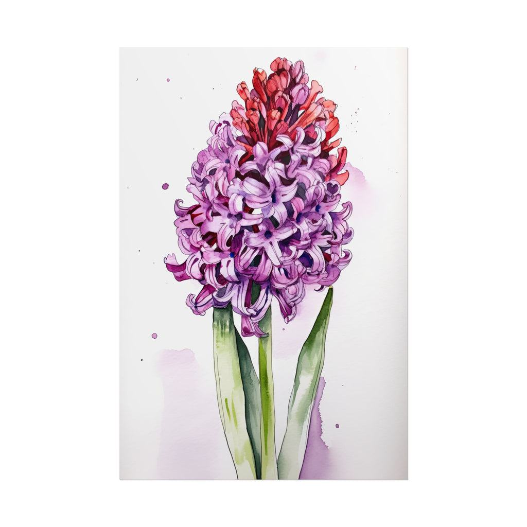 Hyacinth Flower No.98