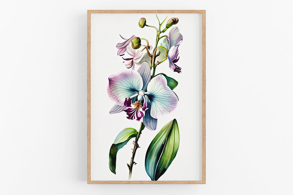 The image is a framed botanical illustration depicting a vibrant orchid flower with delicate petals in shades of purple and blue, surrounded by lush green leaves.