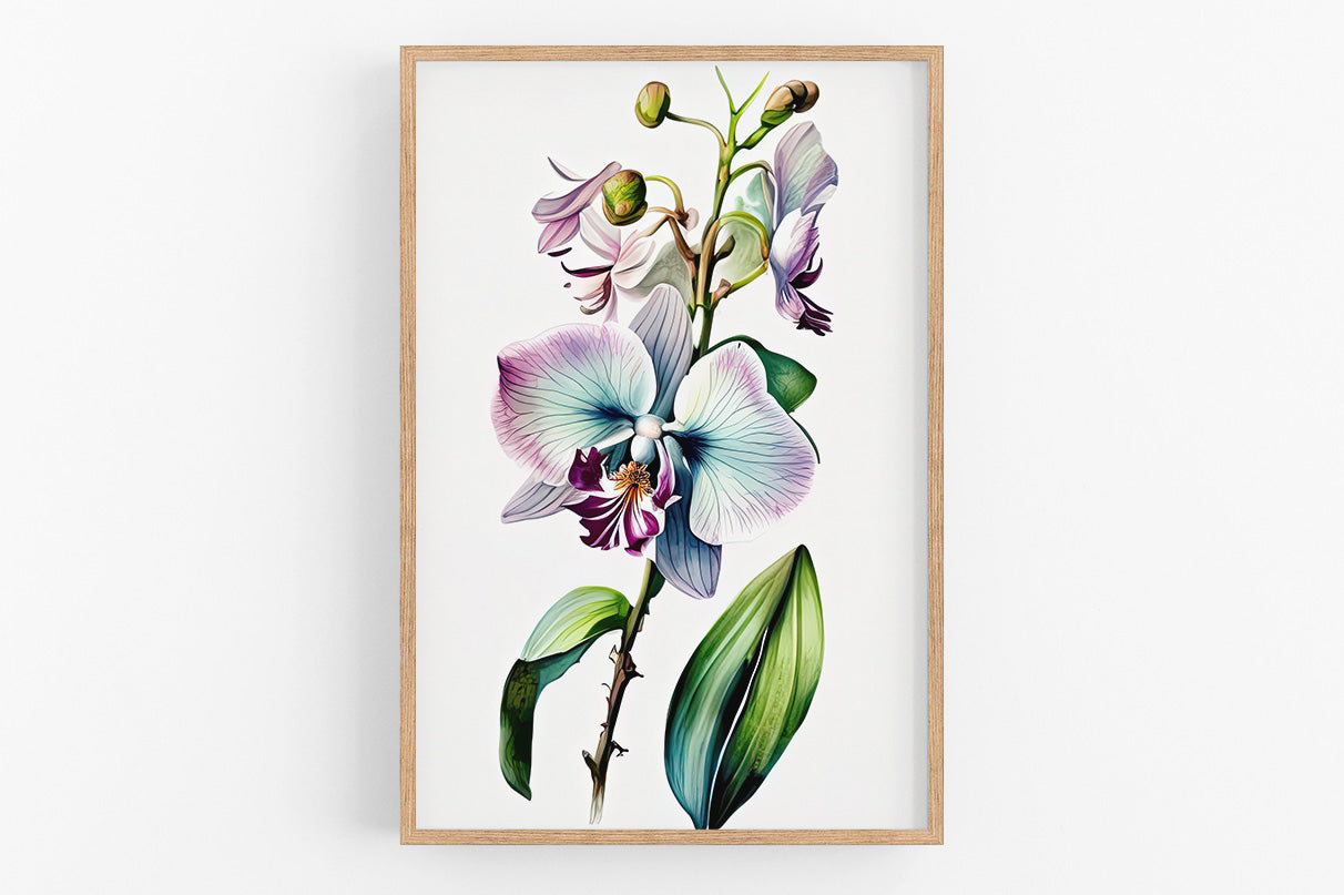 The image is a framed botanical illustration depicting a vibrant orchid flower with delicate petals in shades of purple and blue, surrounded by lush green leaves.