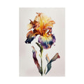 Iris Flower No.2