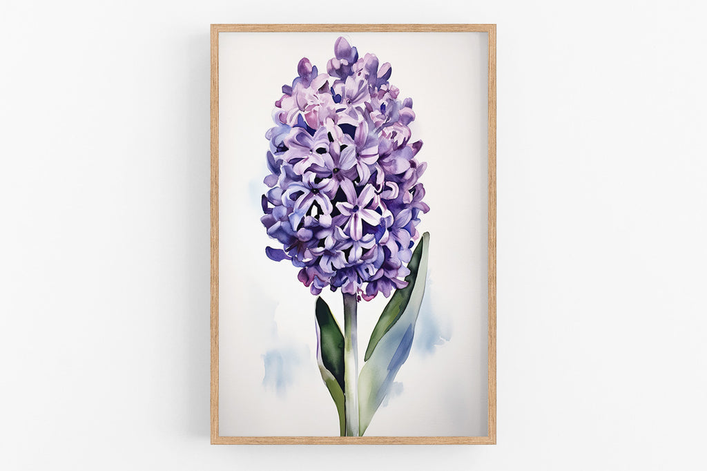 A framed watercolor painting of a large, vibrant purple hyacinth flower.