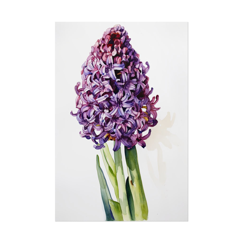 Hyacinth Flower No.96