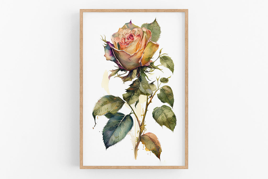 A framed watercolor painting depicting a vibrant, multi-colored rose with lush green leaves.