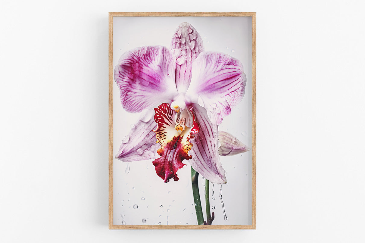 A framed photograph of a vibrant purple orchid flower with delicate petals and a partially open stamen.