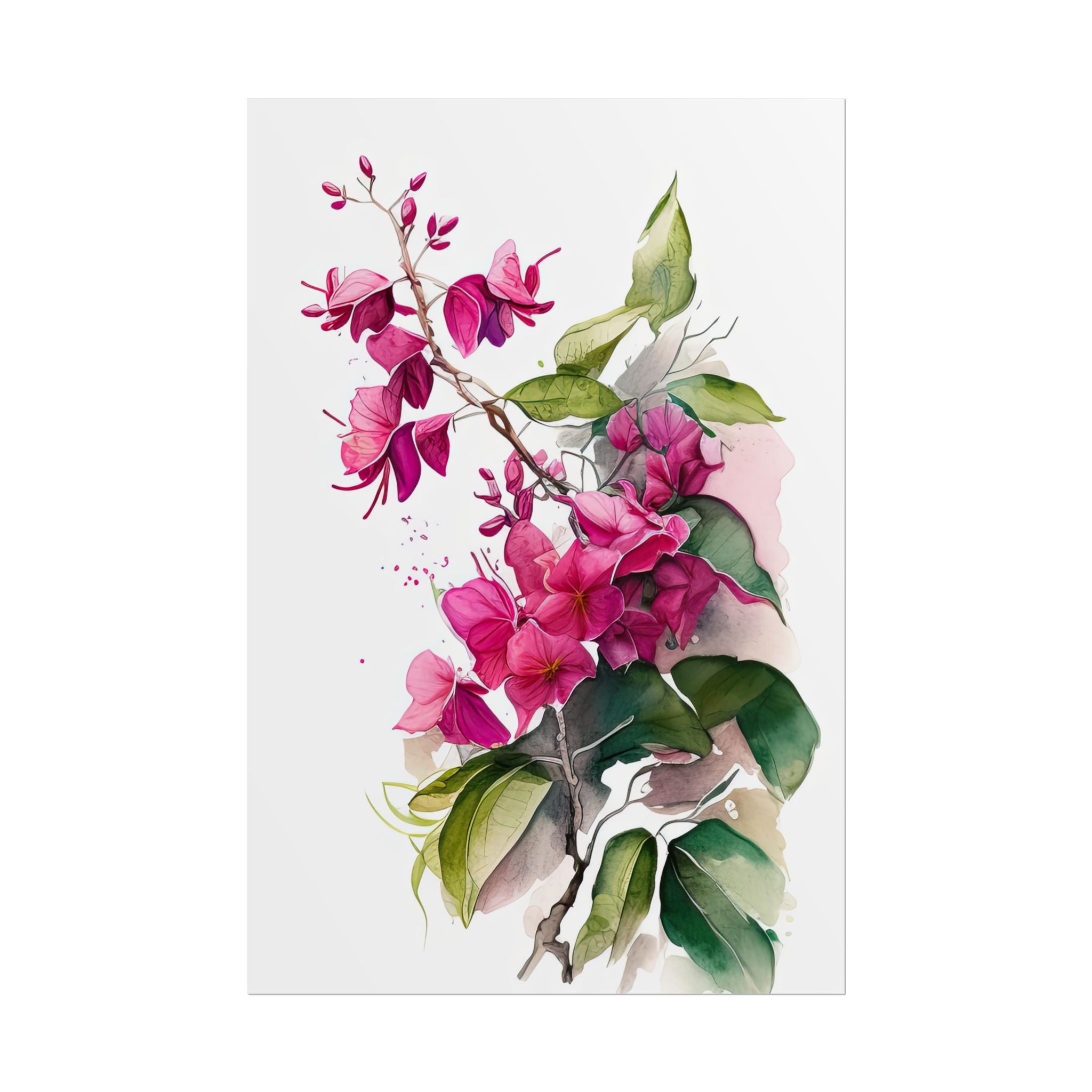 Bougainvillea Flower No.95