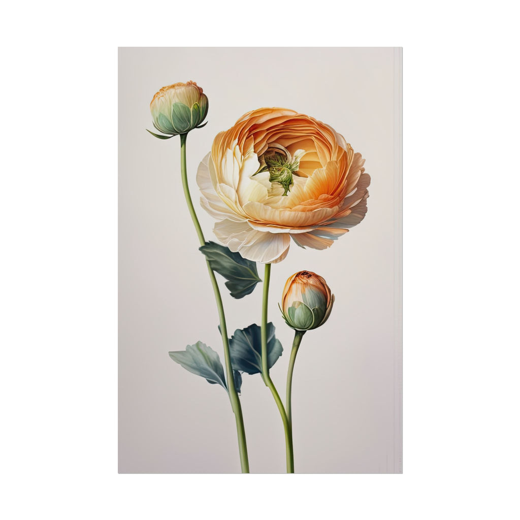 Ranunculus Flower No.61
