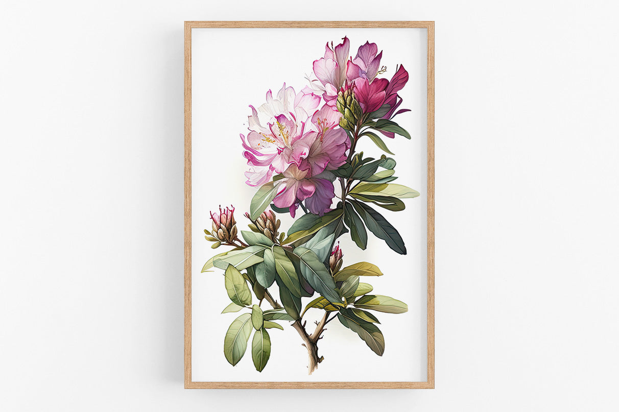 a framed painting of a pink and white flower with green leaves.