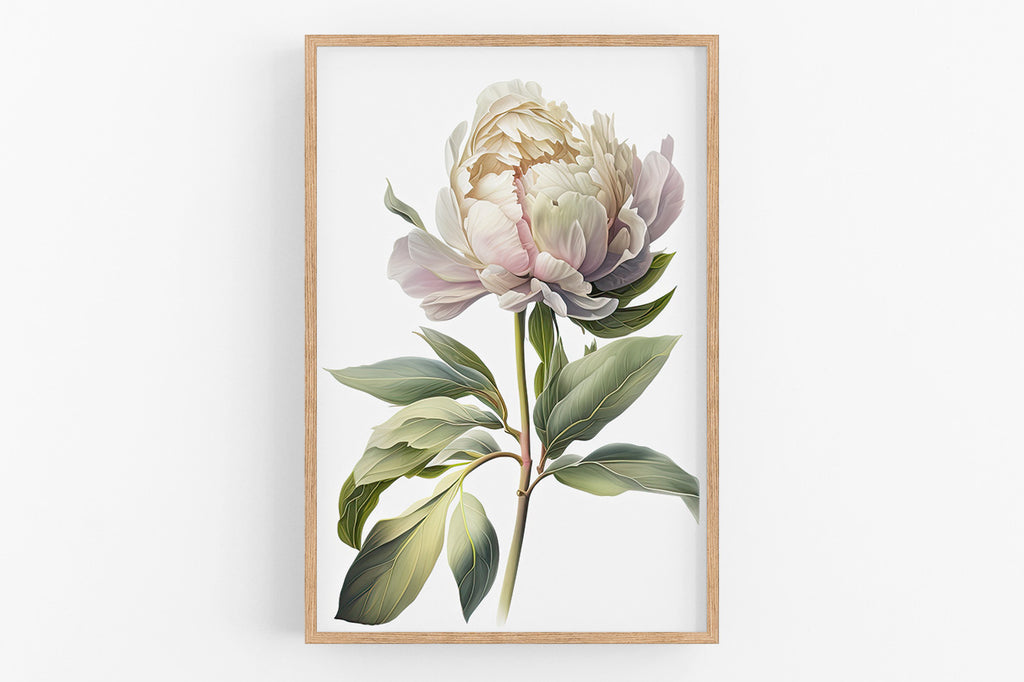 A framed print of a large, white peony flower with green leaves.