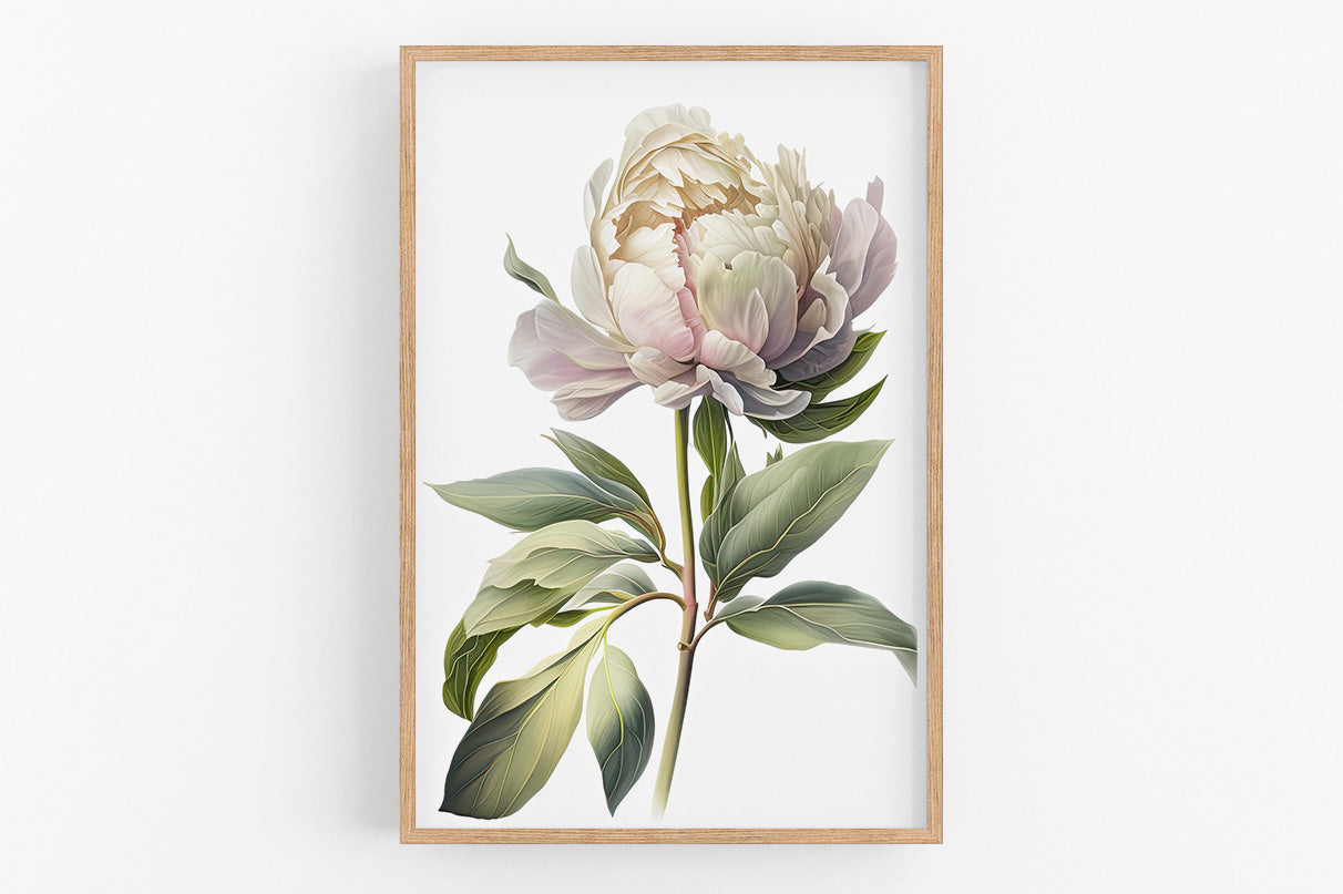 A framed print of a large, white peony flower with green leaves.