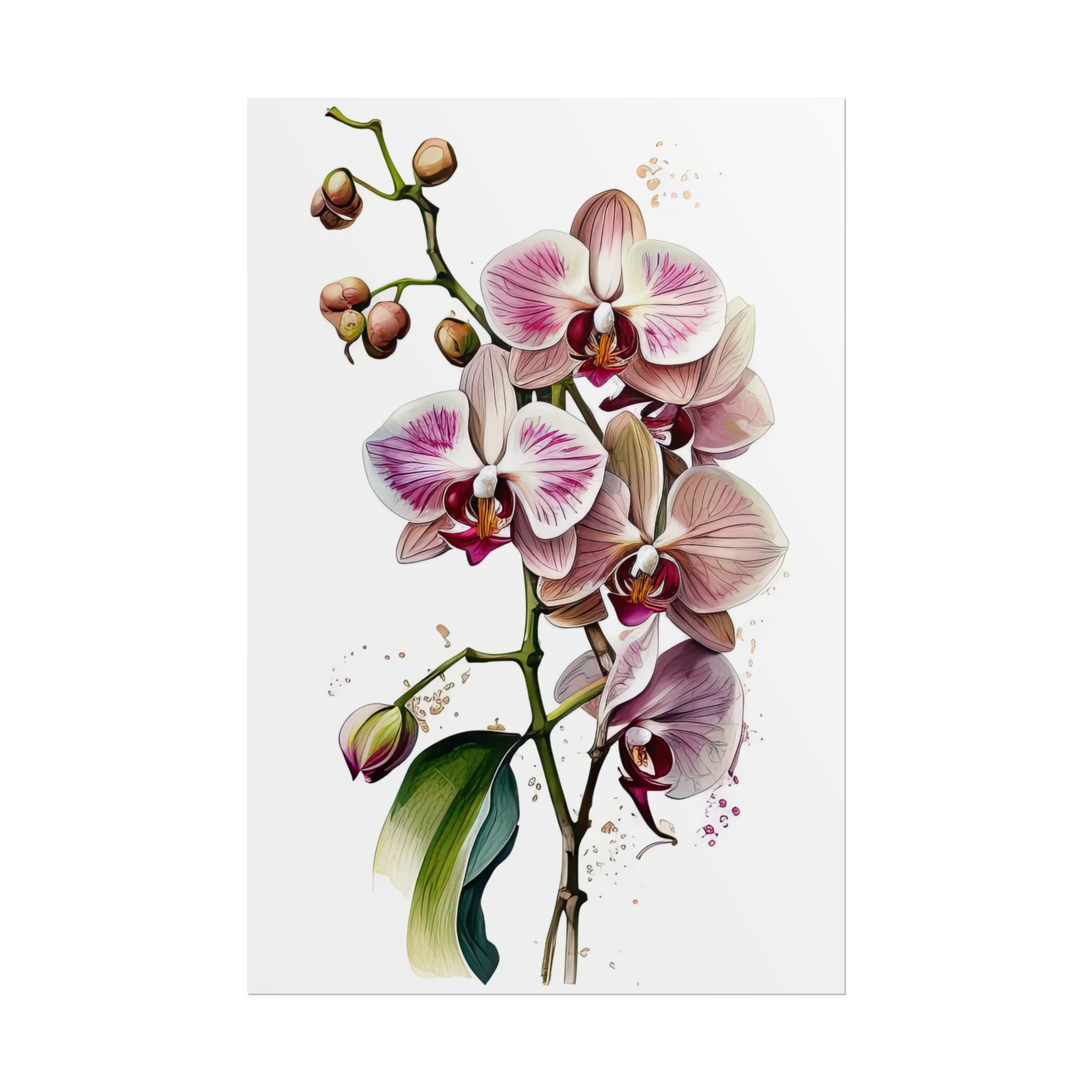 Orchid Flower No.43