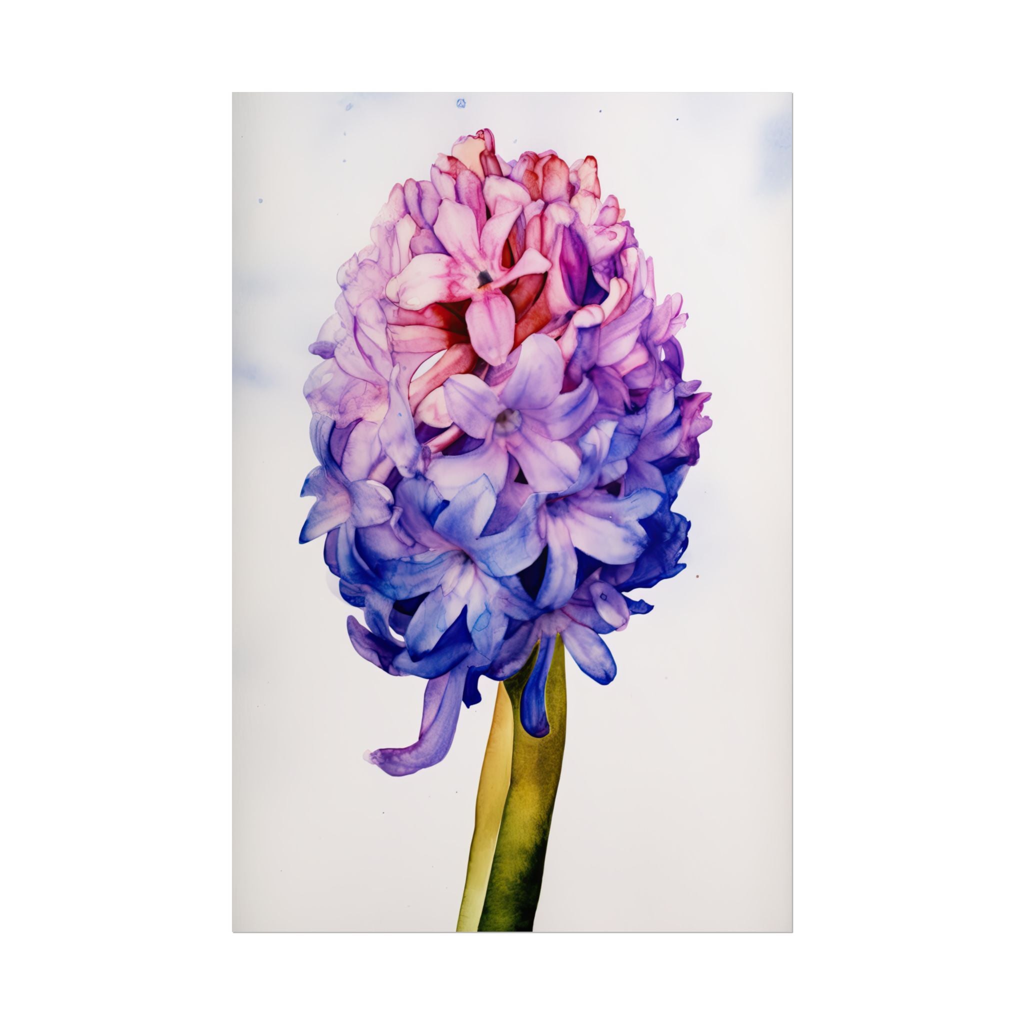 Hyacinth Flower No.128