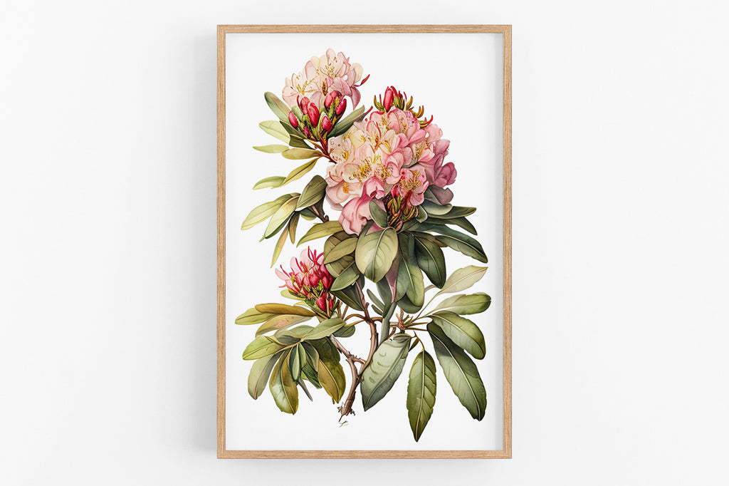 A framed botanical illustration depicting a cluster of pink and yellow flowers with green leaves.