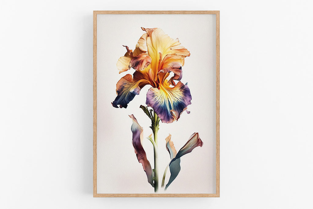 a vibrant, colorful iris flower with a mix of yellow, orange, purple, and blue hues.