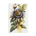 Passion Flower No.47