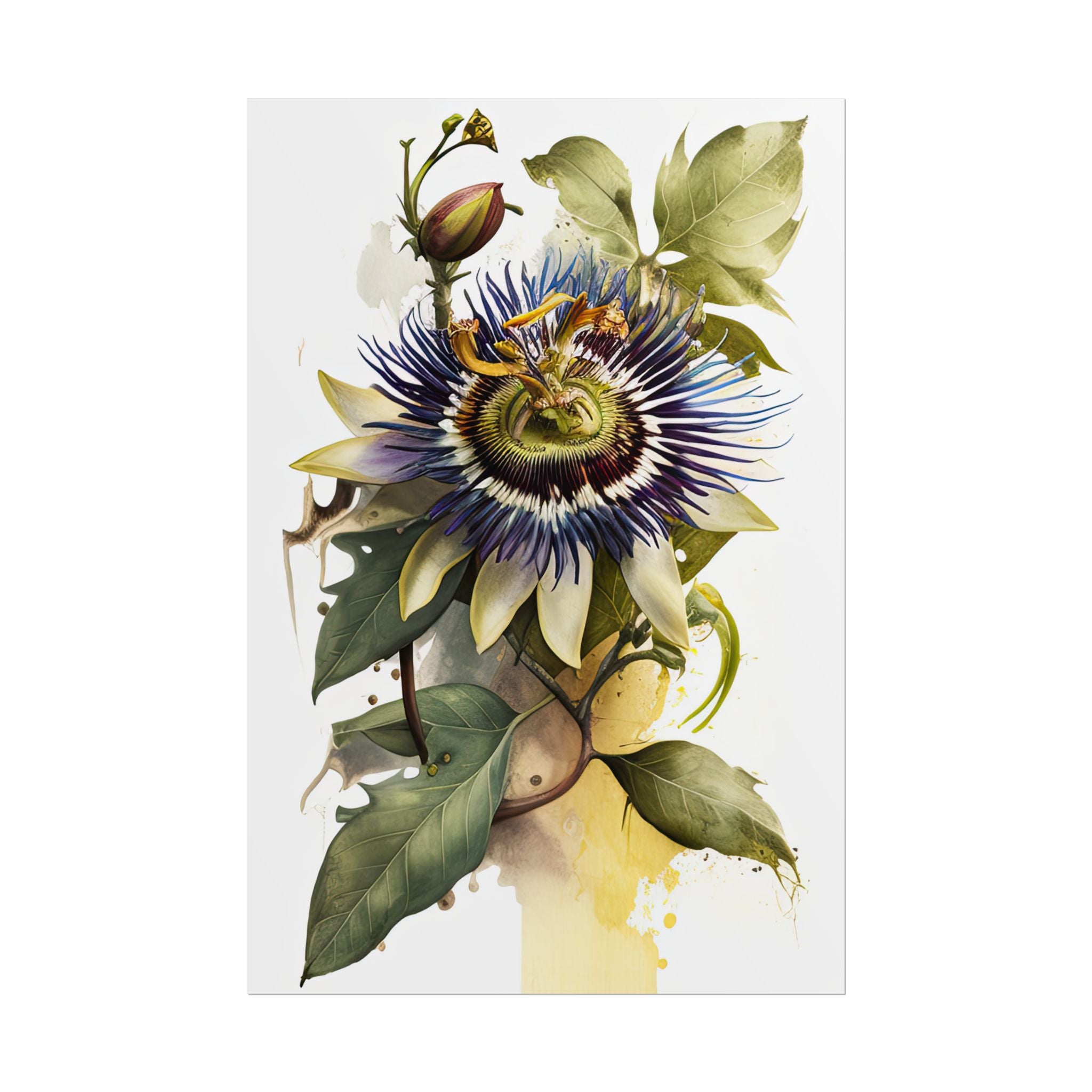 Passion Flower No.47